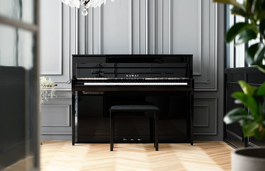 Pianos Page Hybrid piano gallery